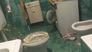 TOILET NOISES