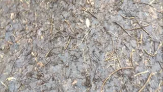 Testing the new wellies in the mud and puddles!