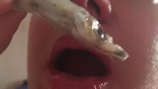 Crushing raw anchovies