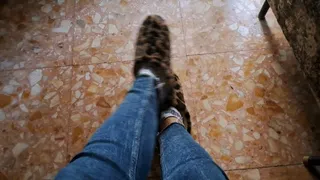 LEOPARD PRINT HOME SLIPPERS AND PINEAPPLE SOCKS