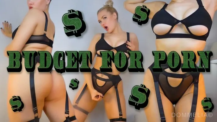 Budget For Porn