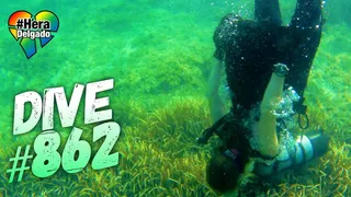 #Dive Nr 862