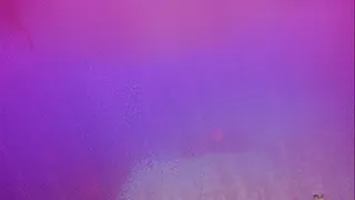 Wetsuit Underwater Fetish