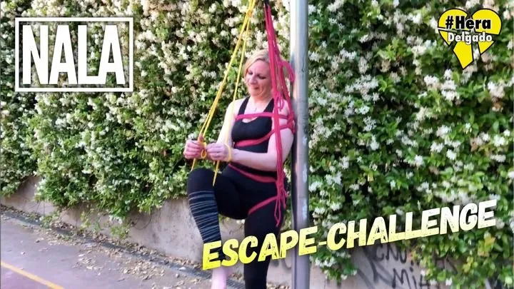 Escape-Challenge with Nala