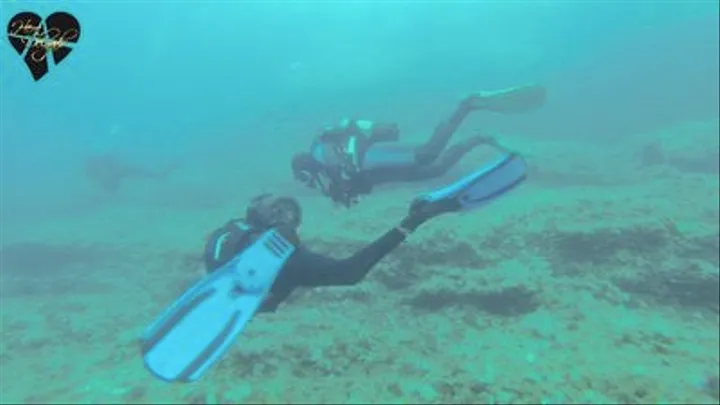 Staff dive in Portopetro (05)