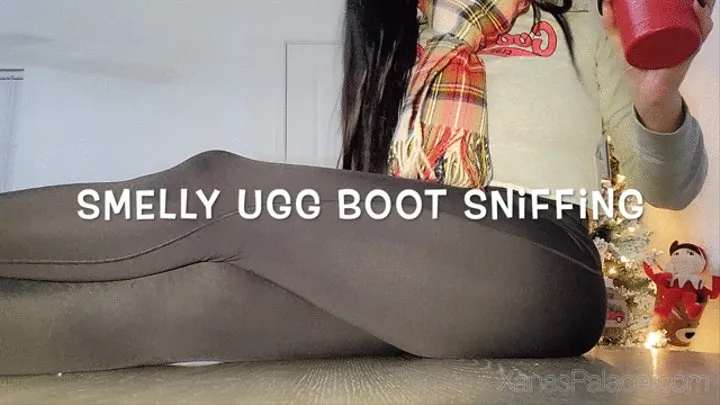 Smelly Ugg Boot Sniffing