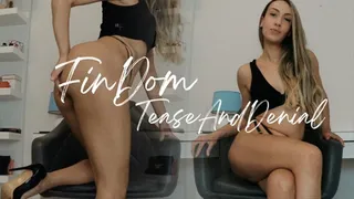 FINDOM TEASE & DENIAL