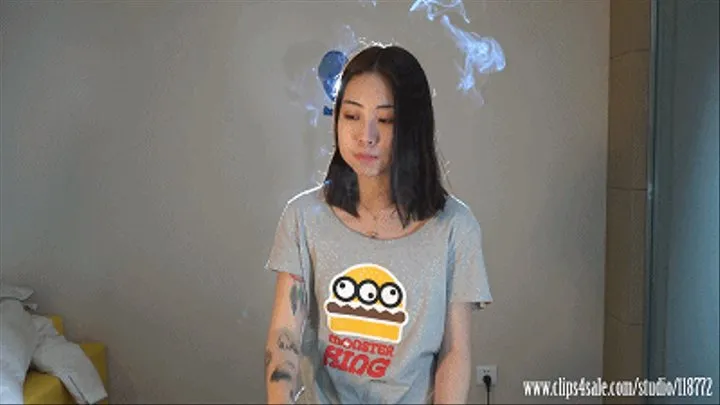 model xiaobai smoker