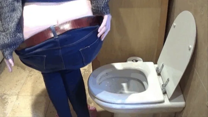 Plopping, Peeing, Farting Loudly & Keeping Count Of The Brownies - Toilet Fetish, Pee, Farting