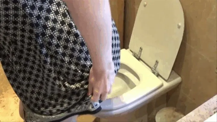 Toilet Plops In Summer Dress