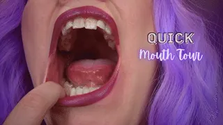 Quick Mouth Tour