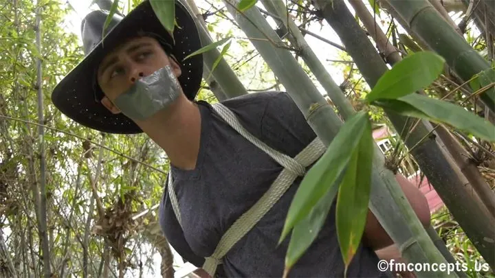 Cowboy Dustin Daring is Hitched to a Tree in an Outdoor Nightmare!