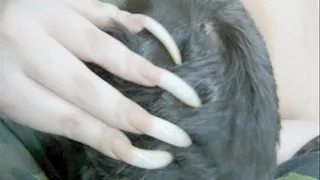 Head scratching with the bare nails - clip 2