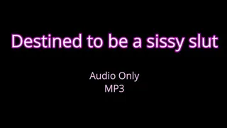 Destined to be sissy slut - Audio Only MP3