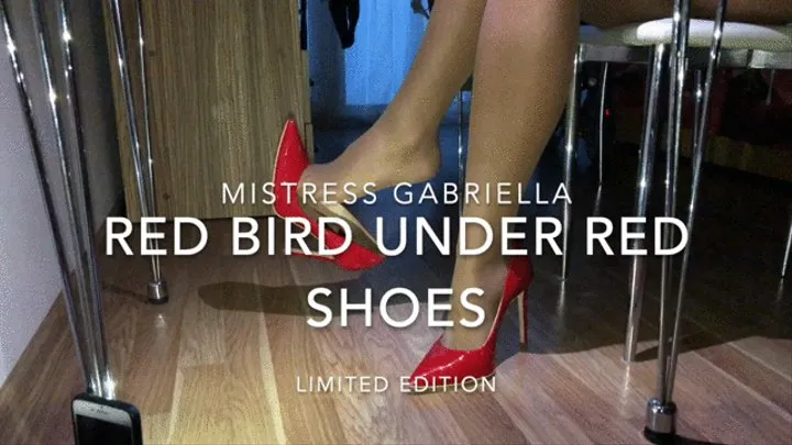 Bird under Gabriellas nyloned feet