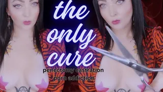 The Only Cure (Penectomy Castration)