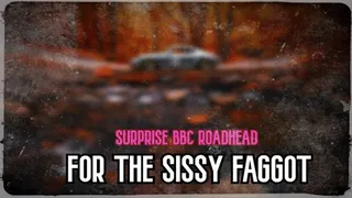 Surprise BBC Roadhead for the Sissy Faggot