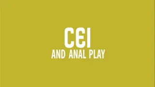 CEI AND ANAL PLAY