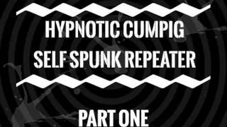 Self Spunk Repeater 1
