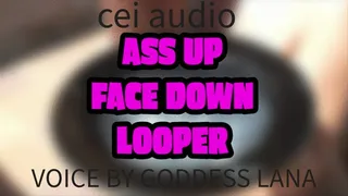 Ass up Face Down Looper FEMALE AND SHEMALE VOICES