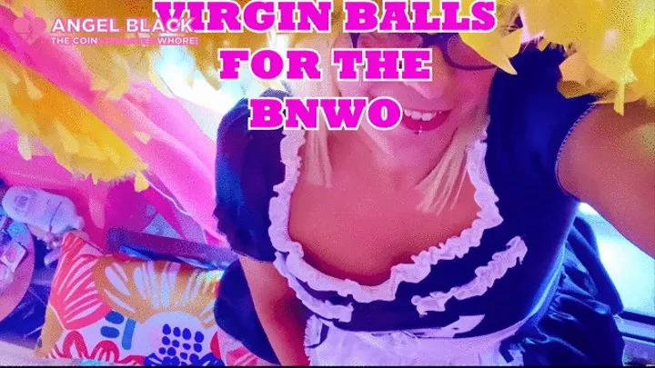 Jerk off & hurt your virgin balls, sissy, for the BNWO & white extinction