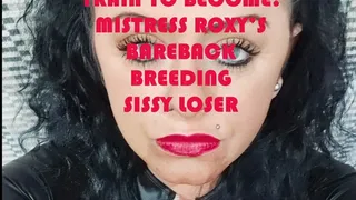 sissy becomes one of Mistress Roxy's cheap brothel whores