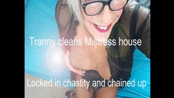 Tranny cleans Mistress house in chastity 1