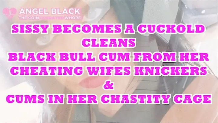 Cuckold sissy eats black bulls cum from wife's cheating knickers and cums in its chastity cage (480 )