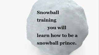 Snowball Training