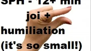 SPH - JOI- Humiliation - Degradation - Let's face it -- it's just too fucking small