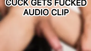 Cuck Gets Fucked / Audio Clip