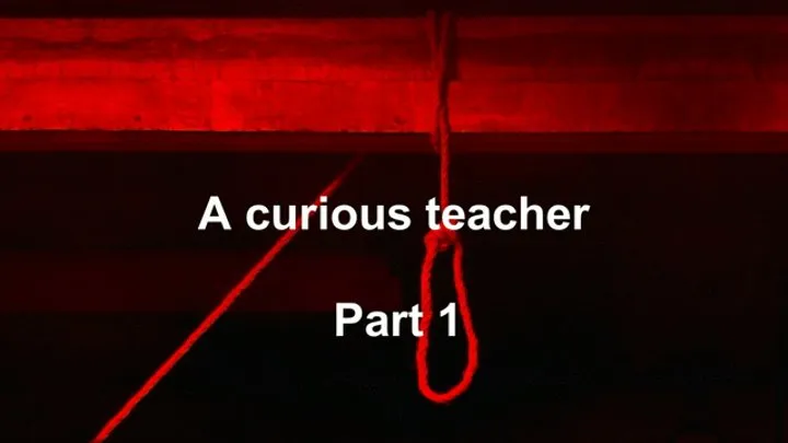A Curious Teacher 1