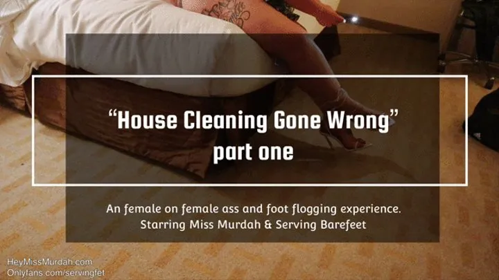 House Cleaning Gone Wrong pt 1