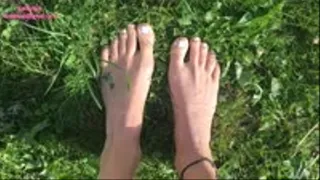 Bare Feet On The Grass