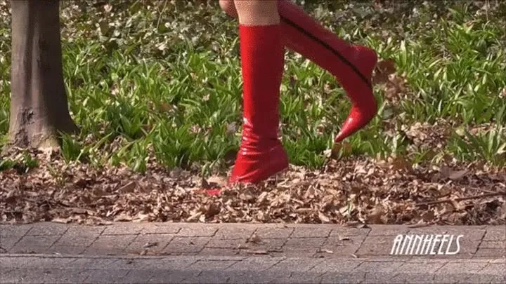 ANIA - RED GIANMARCO LORENZI