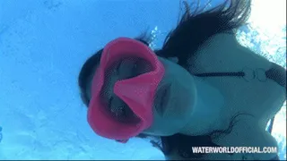 No Diving Pool Fun