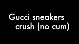 Gucci sneakers crush (no cum)