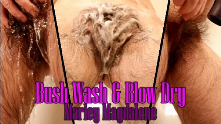 Bush Wash And Blow Dry