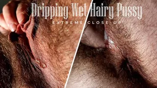 Dripping Wet Hairy Pussy Extreme Close-up