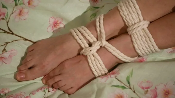 Sofi  White ropes on a green sheet