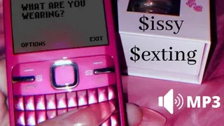 Sissy Sexting - Audio Only
