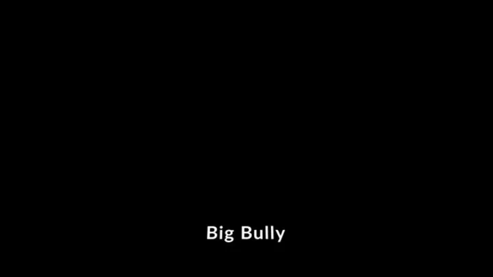 Big Bully