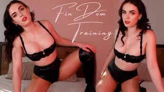 FinDom Training