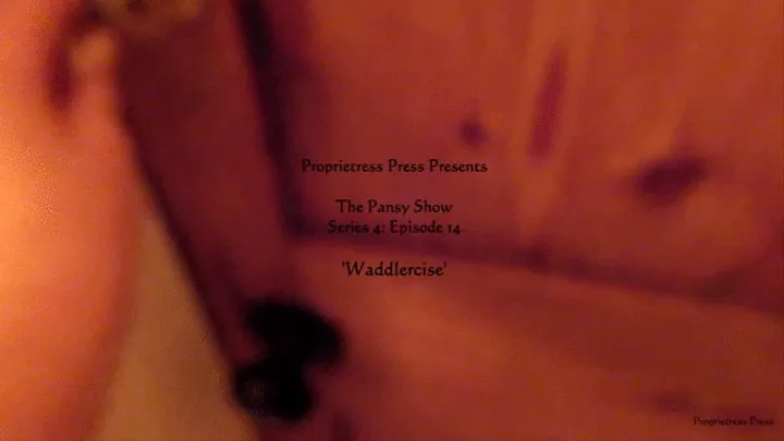 The Pansy Show: Series 4: Episode 14: Waddlercise