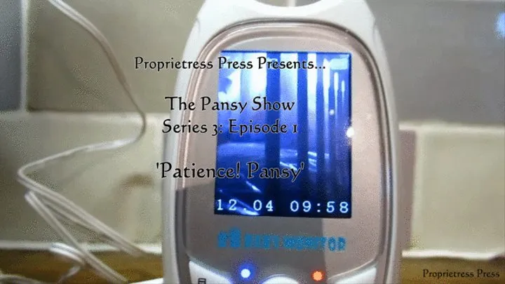 The Pansy Show Series 3 Episode 1 Patience Pansy