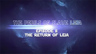The Perils of Slave Leia, DVD Download