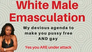 White Male Emasculation - My Agenda To Make you Gay, Destroy your Masculinity, and Destroy You