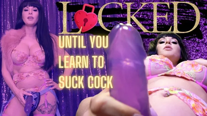 Locked Until You Learn To Suck Cock