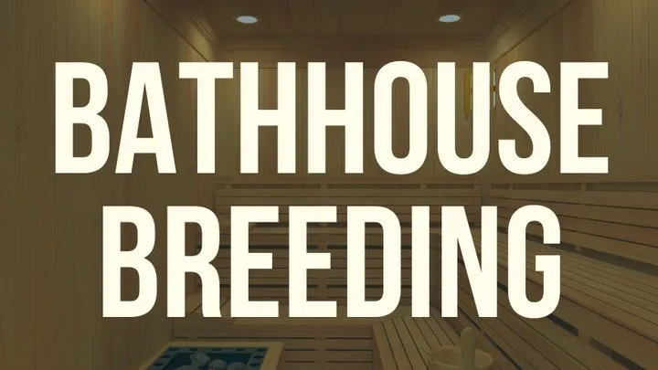 Bathhouse Breeding