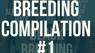 Breeding Compilation #1